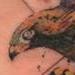 Tattoos - Golden Eagle - 80206